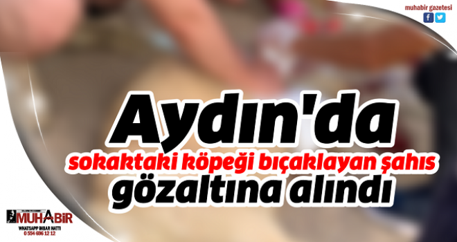 Aydın'da sokaktaki köpeği bıçaklayan şahıs gözaltına alındı