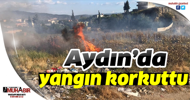Aydın'da yangın korkuttu  