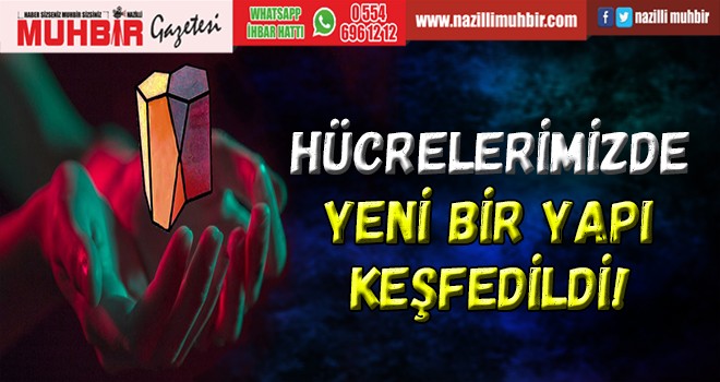 Hücrelerimizde Yeni Bir Yapı Keşfedildi!