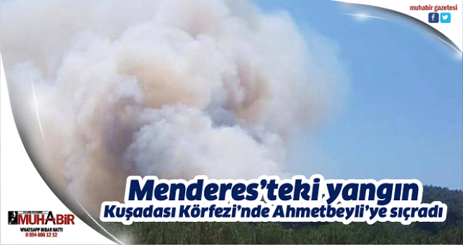 Menderes’teki yangın Kuşadası Körfezi’nde Ahmetbeyli’ye sıçradı  