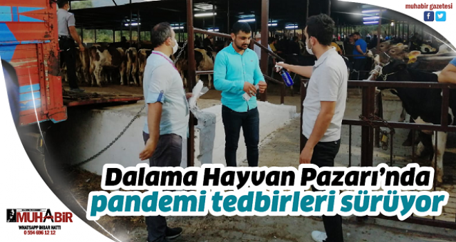  Dalama Hayvan Pazarı’nda pandemi tedbirleri sürüyor  