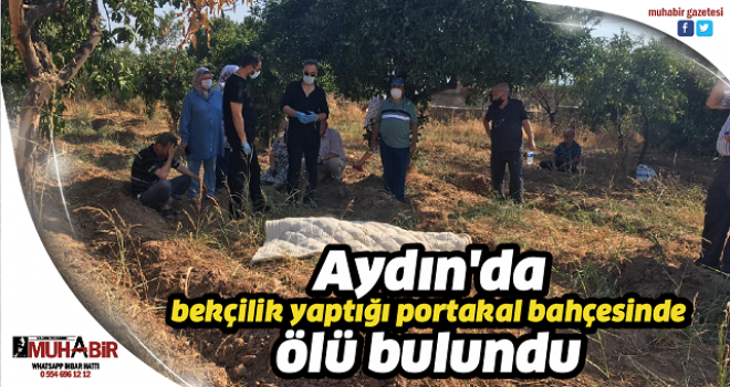 Aydın'da bekçilik yaptığı portakal bahçesinde ölü bulundu  