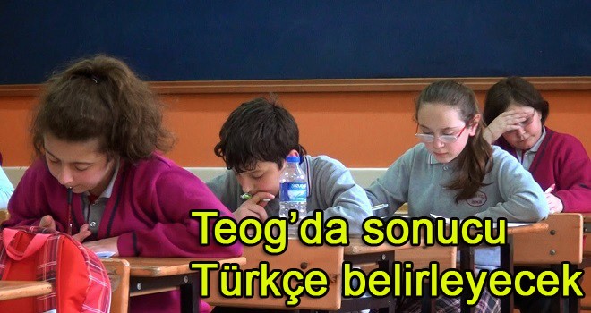 Teog’da sonucu Türkçe belirleyecek