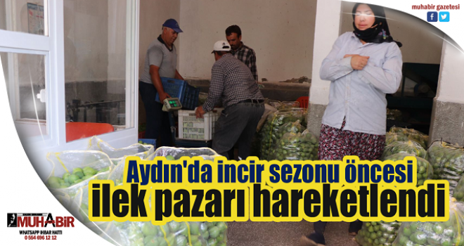 Aydın'da incir sezonu öncesi ilek pazarı hareketlendi  