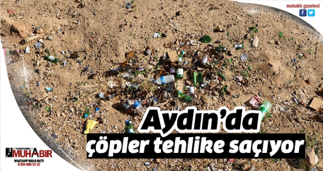 Aydın'da çöpler tehlike saçıyor  