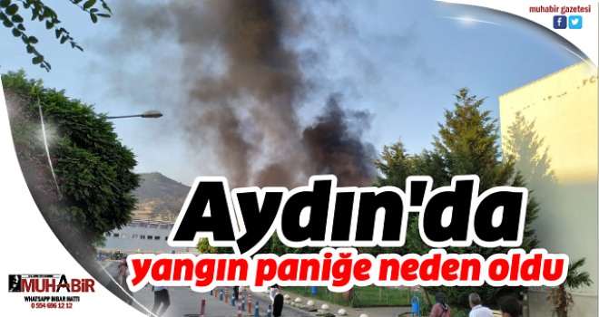 Aydın'da yangın paniğe neden oldu
