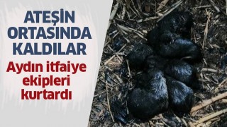 Ateşin ortasında kaldılar