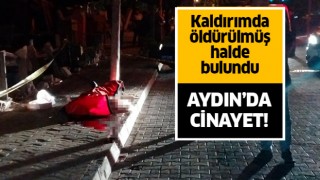 Aydın'da cinayet!