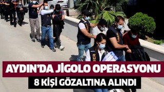 Aydın'da jigolo operasyonu