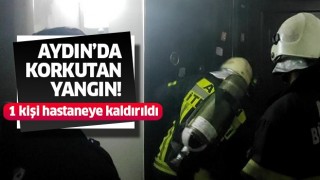 Aydın'da korkutan yangın!