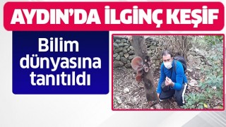 Bilim dünyasına tanıtıldı