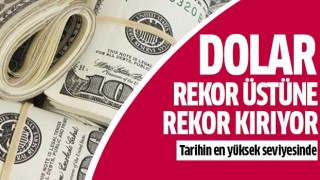 Dolar rekor üstüne rekor kırıyor