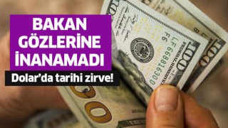 Dolar'da tarihi zirve!