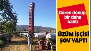 Üzüm işçisi şov yaptı