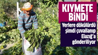 Aydın’da kıymete bindi