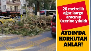 Aydın'da korkutan anlar!