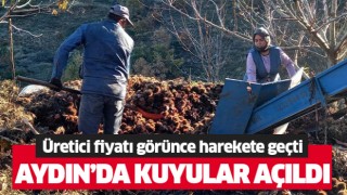 Aydın'da kuyular açıldı