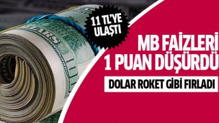 Dolar 11 TL'ye ulaştı