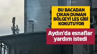 Duman, mahalle sakinlerini rahatsız ediyor