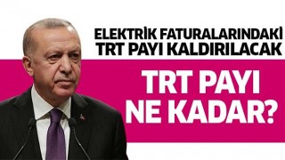 Elektrik faturalarından TRT payı kaldırılacak