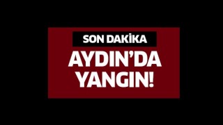 Ev yangınında 1 kişi öldü