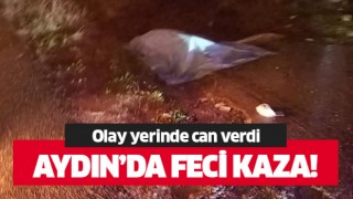 Kaza yerinde can verdi!