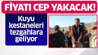 Kuyudan çıkartılan kestaneler tezgahlara geliyor