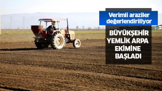 Aydın Büyükşehir Belediyesi arpa ekimine başladı