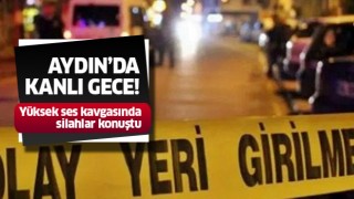 Aydın'da kanlı gece!