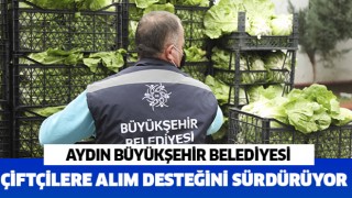 Büyükşehir çiftçilere alım desteğini sürdürüyor