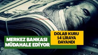 Dolar 14 liraya dayandı!