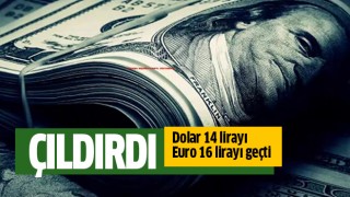 Dolar 14 lirayı geçti