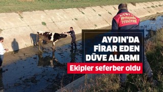 Ekipler seferber oldu