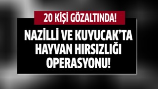 Jandarmadan hayvan hırsızlarına operasyon!