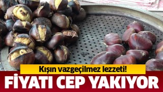 Kestane fiyatı cep yakıyor