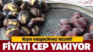 Kestane fiyatı cep yakıyor