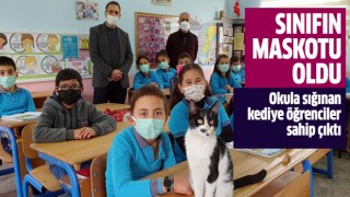 Okula sığınan kediye öğrenciler sahip çıktı