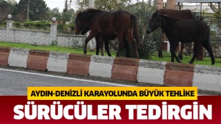 Sürücülerin korkulu rüyası oldular