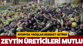 Yağışlar zeytin üreticisini sevindirdi