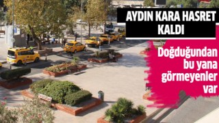 Aydın kara hasret kaldı