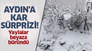 Aydın'a kar sürprizi!