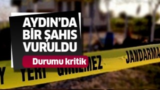 Aydın'da bir kişi  vuruldu 