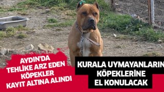 Aydın'da tehlike arz eden köpekler kayıt altına alındı