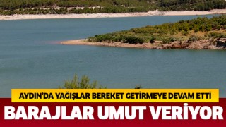 Aydın'da yağışlar bereket getiriyor