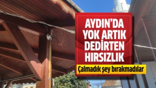 Aydın'da 'yok artık' dedirten hırsızlık