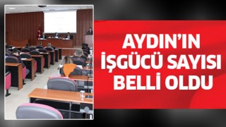 Aydın’ın işgücü sayısı belli oldu