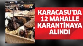 Karacasu’da 12 mahalle karantinaya alındı