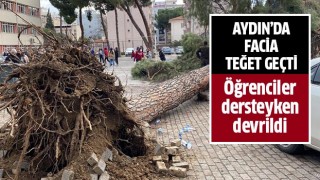 Aydın'da facia teğet geçti