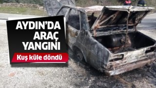  Aydın’da otomobil küle döndü