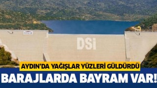 Aydın'da son yağışlar yüz güldürdü